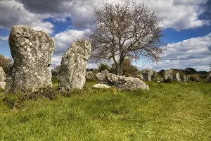 Megalithic Stone Rows Print - Kerzerho, Morbihan, France