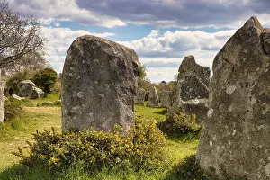 Morbihan Department Photos Prints: Megalithic stone rows from Kerzerho