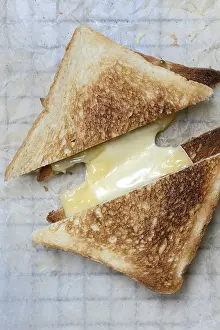 Melted Cheese Prints: Melted processed cheese with toast