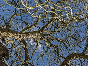 Winter Landscape Prints: The melting snow on fields in early spring