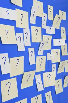 Diurnal Butterfly Habitat Prints: Memo sheets on the wall with many question marks