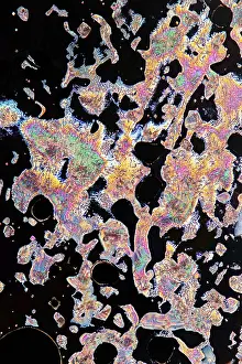 Liquid Crystals Microscope Prints: Mesmerizing patterns and vibrant colors of liquid crystals under a microscope