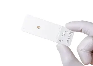 Scientific Research Tools Prints: Microscope slide, cut out