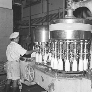 Black And White Factory Scene Prints: Milk bottles getting ready for dis patch