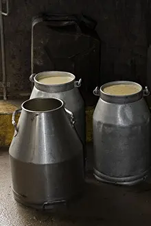 Agricultural Products Prints: Milk-cans