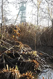 Central Europe Industrial Estate Prints: Former mining tower of the Erin coal mine
