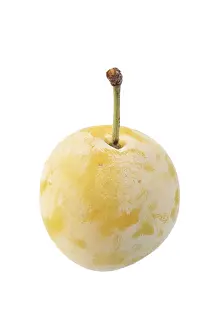 Single Object Food Photography Prints: Mirabelle of Nancy