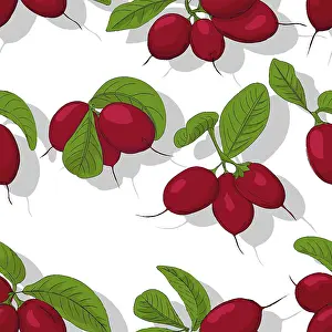 Medical Care Concept Image Prints: Miracle fruits repeating pattern