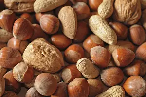 Mixed Nuts Prints: Mixed nuts