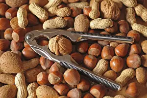 Mixed Nuts Prints: Mixed nuts with a nutcracker