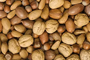 Mixed Nuts Prints: Mixed nuts with walnuts, hazelnuts