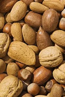 Mixed Nuts Prints: Mixed nuts with walnuts, hazelnuts