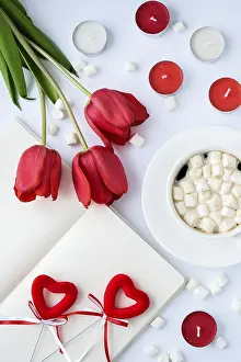 Red Tulips Prints: Mock up with empty space for text