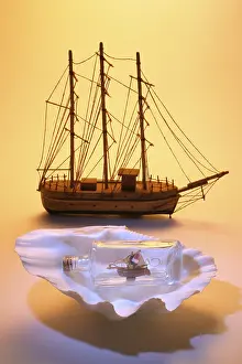 Seashell Decoration Prints: Model ship and ship in a bottle on a seashell