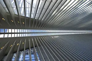 Geometric Design Prints: Modern architectural interior featuring repeated linear patterns and daylight streaming through the overhead structure