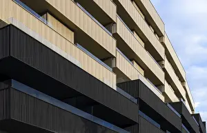 Sustainable Architecture Prints: Modern architecture emphasizing sustainability