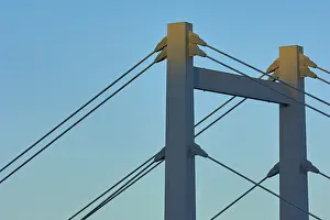 Evening Sunlight In Bavaria Prints: A modern bridge at sunset with clear cable structures and a cloudless sky