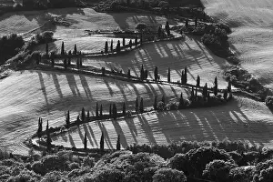 Siena Province Scenery Prints: Monticchiello, Val d'Orcia