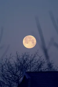 Nighttime Nature Photography Prints: Full moon