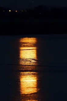 Middle Elbe Biosphere Reserve Germany Prints: Full moon reflected in the ice