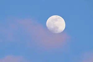 Evening Light In Bavaria Prints: Moon at sunset, evening, clouds