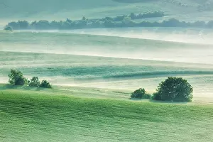 Morning Mist Photography Prints: Moravian rolling fields landscape in morning mist