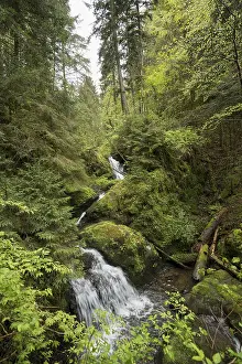 Moss Grown Rocks And Waterfalls Prints: Moss-covered rocks and waterfall