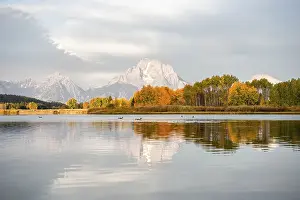 Mount Moran Reflection Prints: Mount Moran reflected in Snake River