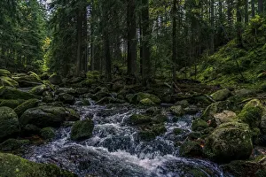 Mountain River Landscape Prints: Mountain and forest small river