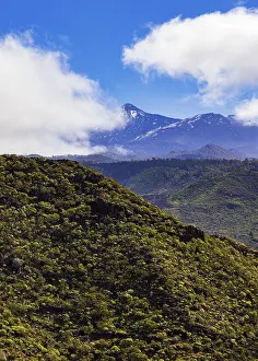 Canary Island Tourism Prints: Mountain hike to Risco Blanco, view to Mount Teide
