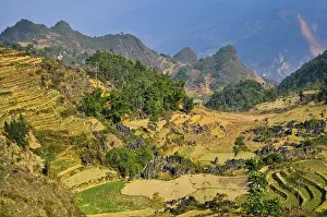 Mountainous Agricultural Land Prints: Mountain landscape with rice fields
