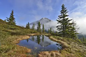 Austrian Countryside Landscape Photo Prints: Mountain landscape in the spring