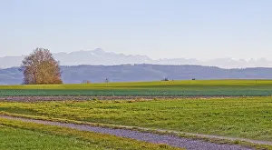 Mountain Panorama View Prints: The mountain names were assigned with the best of our knowledge