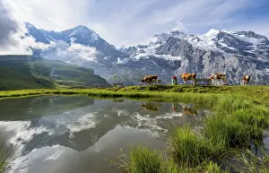 Bernese Oberland Scenic Views Prints: Mountain panorama with peaks Eiger