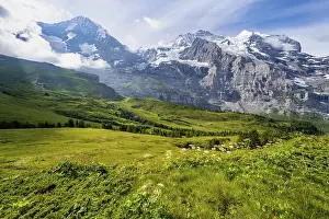 Mountain Panorama Switzerland Prints: Mountain panorama with peaks Eiger