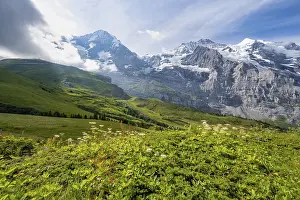 Bernese Oberland Landscape Prints: Mountain panorama with peaks Eiger