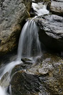 Wild River Waterfall Prints: Mountain stream