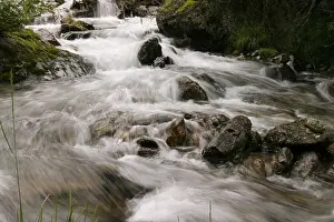 Mountain Creek Prints: Mountain stream