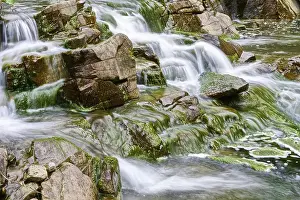 Deserted Mountain Creek Prints: Mountain stream