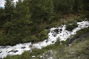 Framed Print : Mountain Stream Print Framed Print : Mountain Stream Print