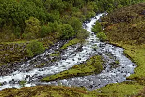 British Countryside Landscapes Prints: Mountain stream in the highlands in spring