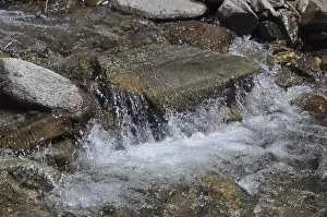 Austrian Mountain Stream Prints: Mountain stream, stream, Austria