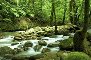 Open Air Water Body Scenery Prints: Mountain waterfall