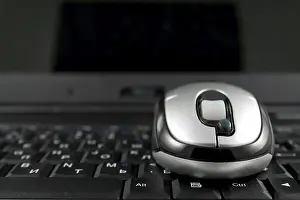 Studio Shot Of A Mouse Prints: Mouse on a laptop keyboard