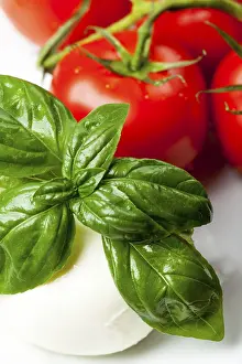 Empty Table Setting Ideas Prints: Mozzarella, basil and tomatoes