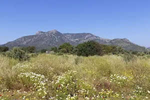 Aegean Region Turkey Prints: Mt Emecik Dagi, Datca, Datca Peninsula