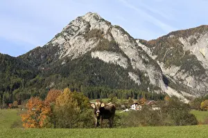 Styria Mountain Range Europe Prints: Mt Stoderzinken near Groebming