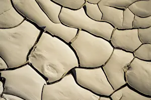 Global Warming Effects Prints: Mud patterns formed due to drought in a dry river bed