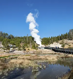 Geothermal Power USA Prints: Mud Volcano, steaming thermal spring in the back