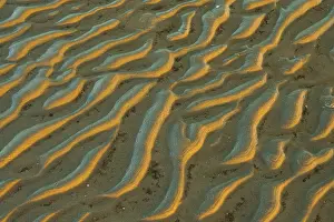 Evening Atmosphere Nature Reserve Prints: Mudflats in evening light, beach